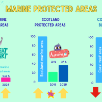 Ocean Protection⬆️ Coral Reefs⬇️